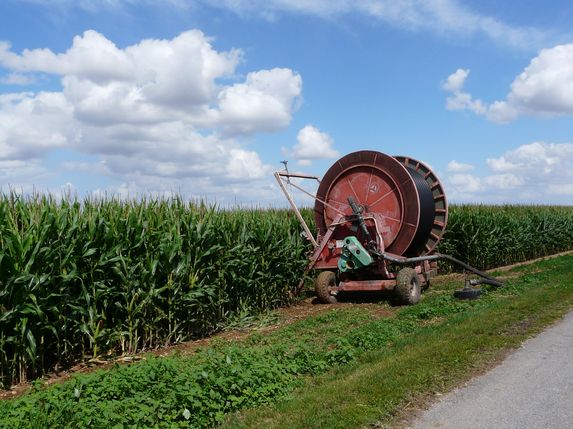 Irrigation : le CGAAER évoque le scénario de restrictions pour la viticulture ou le maïs 