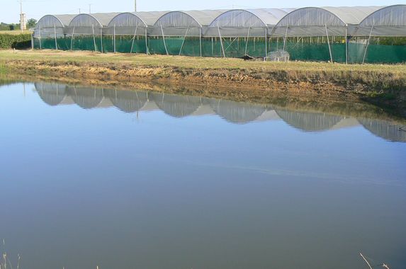 Irrigation : des restrictions un peu moins fortes sur quelques bassins 