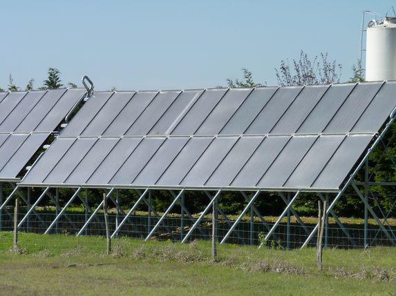 Agrivoltaïsme: jusqu'à 40% d'un terrain agricole pourra être couvert de panneaux solaires 