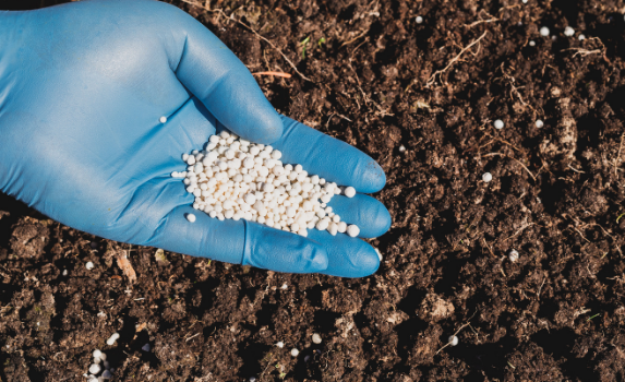Nitrates : le 7e plan laisse l'Autorité environnementale sur sa faim