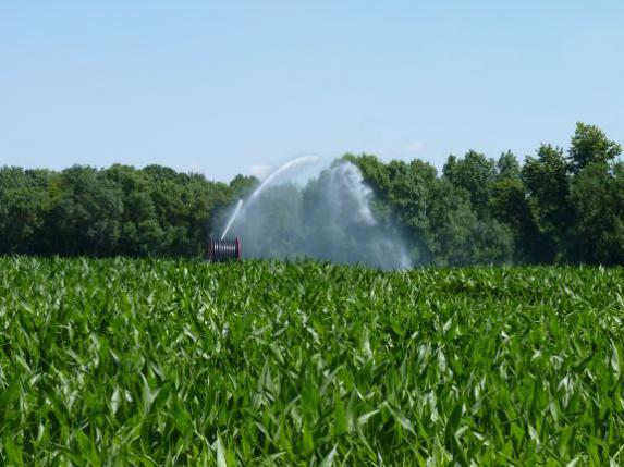 Irrigation : animation technique le 1er juillet
