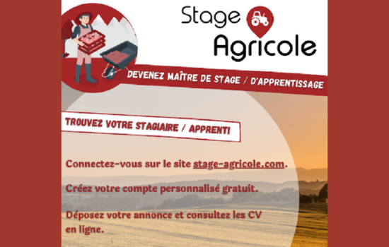 Stage Agricole | Trouvez votre stagiaire/ apprenti !