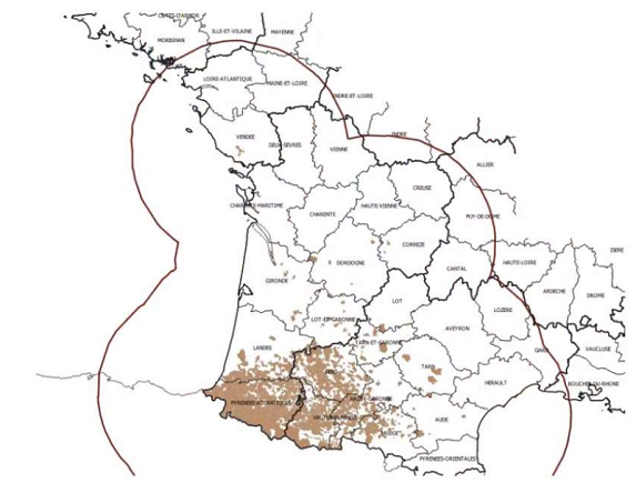 Bovins : trois cas confirmés de MHE en Vendée
