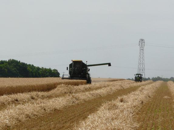 Céréales : l’export de blé tendre démarre en trombe sur 2022-23 (FranceAgriMer) 