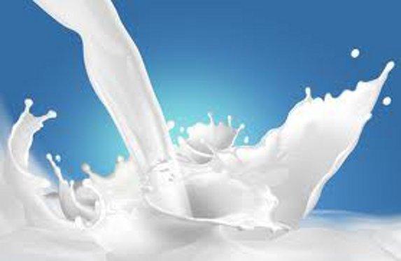 Italie: tensions sur le prix du lait, Lactalis mis en cause