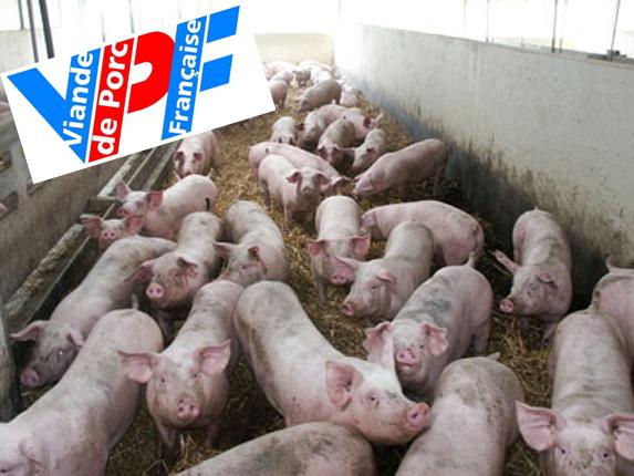 Porcs : La section porcine de la FRSEA a rencontré l'entreprise Fleury Michon