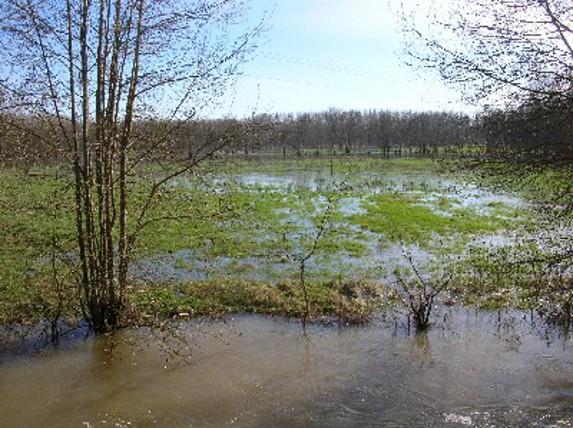 Près de 3000 ha inondés en Alsace, les agriculteurs manifestent contre l'urbanisation