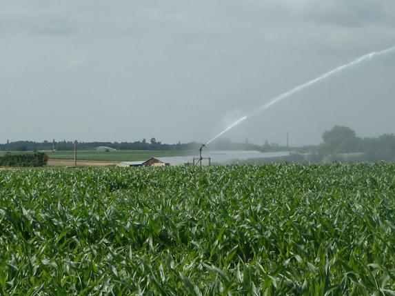 Irrigation - La FNSEA demande Ã  N. Hulot de « sortir du tabou »