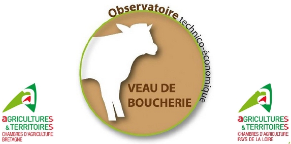 Observatoire Veaux de Boucherie : Réunion de restitution